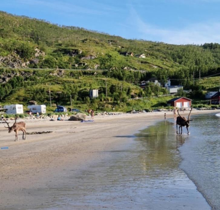 Willa Grotfjord Tromsø Zewnętrze zdjęcie